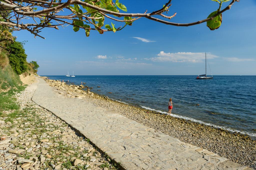 Sea View Guesthouse Opara ピラン エクステリア 写真
