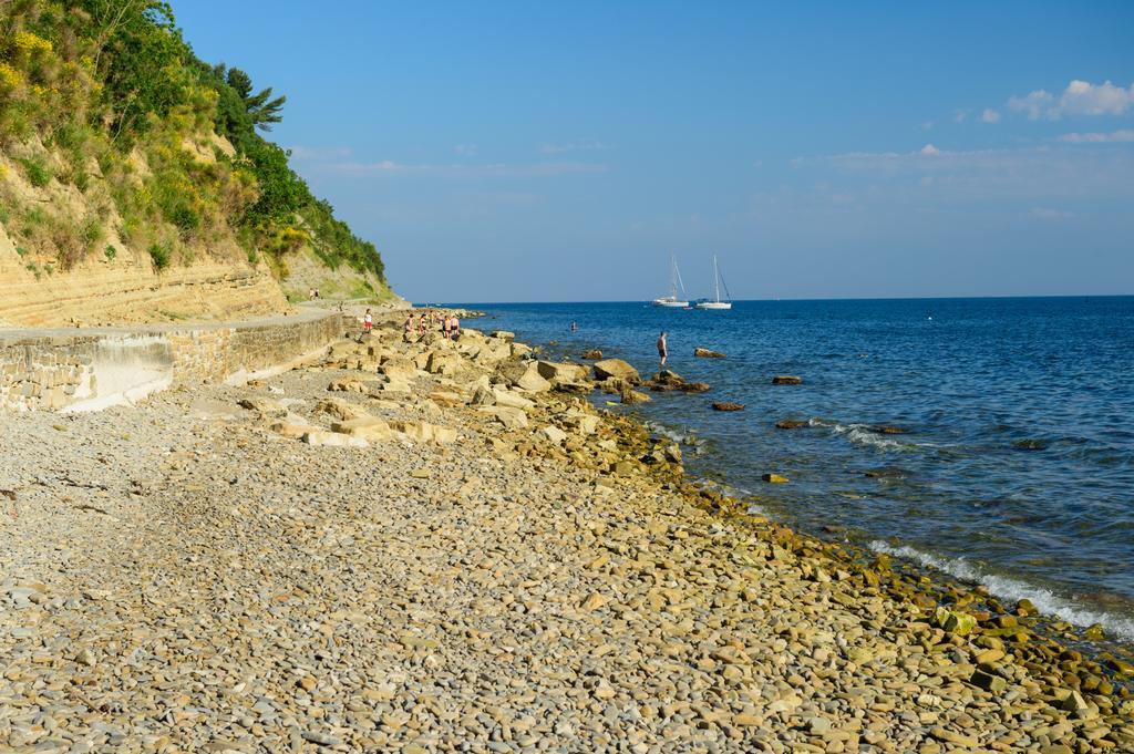 Sea View Guesthouse Opara ピラン エクステリア 写真